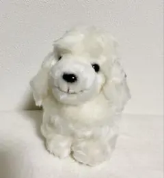 サンレモン　Champion Kids プードル ぬいぐるみ　白色　タグ付きのサムネイル