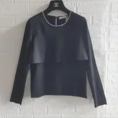 ANAYI　アナイ　レーヨンストレッチビジューネックプルオーバー 　フリル