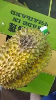 タイ産火山ドリアン 樹熟 大玉1玉【7/10発送 7/9通関】 - メルカリ