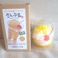 【2点セット】さんぷるん食品サンプル 元祖 サンプルキットジンジャーエールかき氷