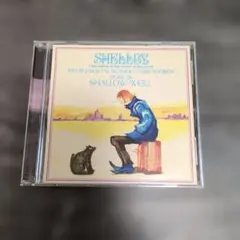 SHELBY: Instrumental Seaside Cabin Sound