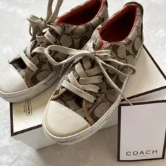 箱付　COACH コーチ シグネチャー スニーカー レザー ローカット 23.5