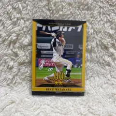 タカコレくじ 2025 vol.2 渡邉陸C賞 カード
