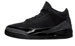 Nike Air Jordan 3 Retro Black Cat