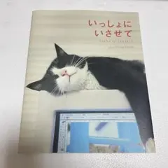 いっしょにいさせて 猫写真集　photo Hiroji Kazuo