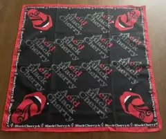 Acid Black Cherry バンダナ メンスパ 付録 2012年3月号