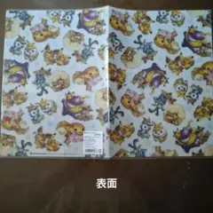 ピカチュウとイーブイの開けるクリアファイル+ANAファイル（おまけ）