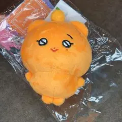 SEVENTEEN MINITEEN プギュリ ぬいぐるみ プラッシュトイ - メルカリ
