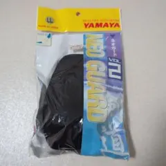 Item thumbnail for item 6aee7060-92c2-4b30-a382-aa0b5a1191ad