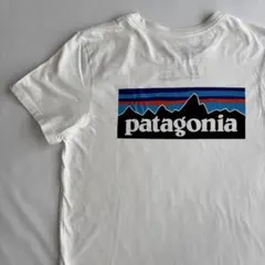 patagonia オーガニックコットン Tシャツ XS ホワイト