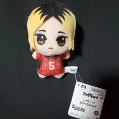 ハイキュー!! ちびぐるみ 孤爪研磨　ぬいぐるみ　マスコット　⑬