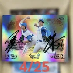 Item thumbnail for item 408f4b87-3852-4490-bc05-2904354ceed9