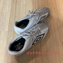 Item thumbnail for item ec089b0b-6b34-4cf9-8364-60681917e362