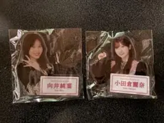 Item thumbnail for item 194d63b2-7dae-49b6-a3cc-761a99bcda3b