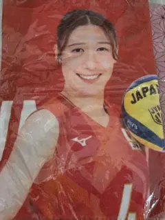 佐藤淑乃 バレーボール日本代表 タオル コースター キーホルダー 4点