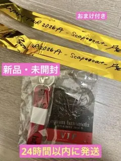 浜崎あゆみ　VIP専用特製　ラミネート　パス SCAPEGOAT おまけ付き