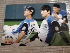 大谷翔平 2016 ハイライトフォト No.113 日本ハム 球団公式写真