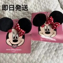 フィットカットカーブ ツイッギー 携帯はさみ Disney／ラプンツェル