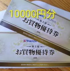 YAMADA お買物優待券 20枚1万円分セット　ヤマダ電機