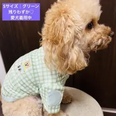 春☘️ビッグSALE対象商品｜新品 犬服Sサイズ チェック柄 グリーン