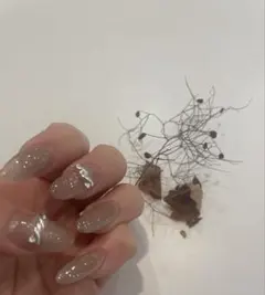 ベージュ グリッター ネイルチップ 11枚セット マグネット　シンプル