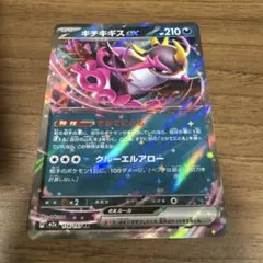 キチキギスex SR スカーレット&バイオレット 拡張パック ナイト