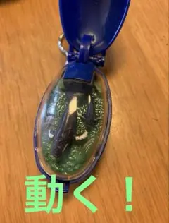 動作確認済み　ポケットクリッター　象 動作確認済み ポケットクリッター 象 Yahoo!オークション