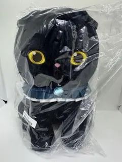 mofusand 黒仔猫ニャンBIGぬいぐるみ　青リボン付き　黒猫　タイトー限定