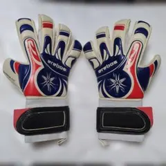 希少 激レア】reusch ロイシュ ゴールキーパー グローブ 11号 アクア