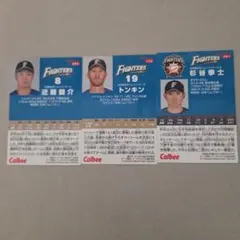 Item thumbnail for item cdfeb82e-4772-43f0-aff1-08429afc88da