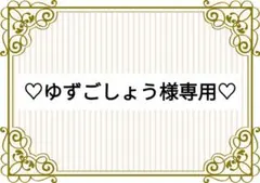 ★ゆずこしょう★☆復٩(ˊᗜˋ*)و活☆様 リクエスト 4点 まとめ商品