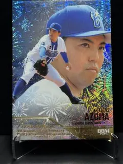 Item thumbnail for item 9b301167-51aa-4335-868b-5304631092b1