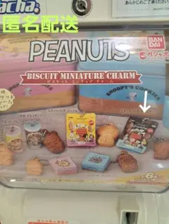 PEANUTS ビスケットミニチュアチャーム