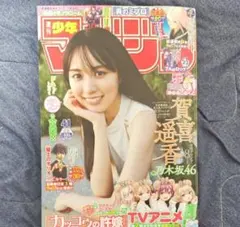 非売品 週刊少年マガジン応募者全員サービス 賀喜遥香 ポストカードセット 非売品 週刊少年マガジン応募者全員サービス 賀喜遥香 ポストカードセット