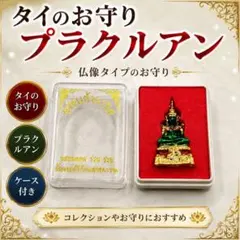 2026年最新】プラクルアン ケースの人気アイテム - メルカリ