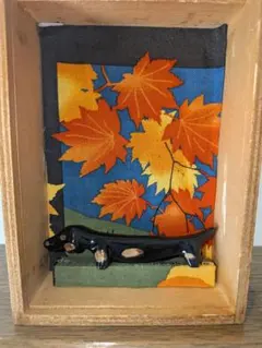ダックスフンドボックス　紅葉