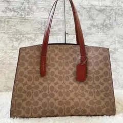 極美品✨コーチ COACH トートバッグ カラーブロック シグネチャー 2026年最新】カラーブロック coachの人気アイテム - メルカリ