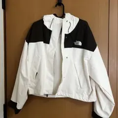 The North Face ノースフェイス 韓国 マウンテンパーカー　アウター