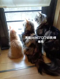 黒猫Jack(プロフ必読)様専用です♪︎お取り置き