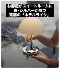 Item thumbnail for item 91baaa6e-21ca-4233-89e0-17a0e73a79be