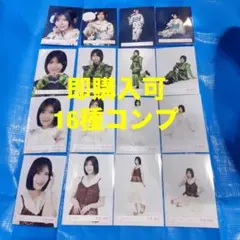 櫻坂46 稲熊ひな 生写真16種コンプ 摩擦係数 新参者2025 - メルカリ