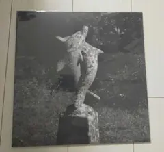 青葉市子 SINGLE COLLECTION 2020-2024 レコード SINGLE COLLECTION 2020-2024 | ICHIKO AOBA WEB SHOP