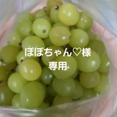 ぽぽちゃん♡様専用