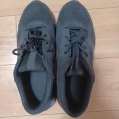 Item thumbnail for item 4bd4af27-e1d0-4d57-9a51-57138b1833b0