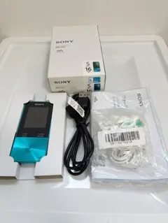 SONY WALKMAN NW-S315 ブルーのサムネイル