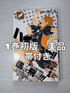 ハイキュー 1巻～45巻 全巻セット 排球本 - メルカリ