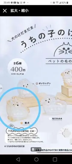 正規品　うちの子のけだまだま　犬のけだまだま　柴犬