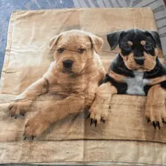 まっちゃん様専用　バスタオル 大判 リアルプリント 子犬 柄のサムネイル
