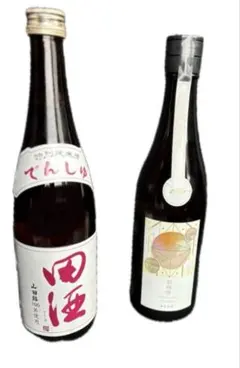 Item thumbnail for item 72bb5843-0135-4b7e-acab-f07534b1efdf