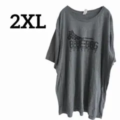 ALTERNATIVE オルタナティブ 【2XL】 半袖Tシャツ グレー ロゴTのサムネイル
